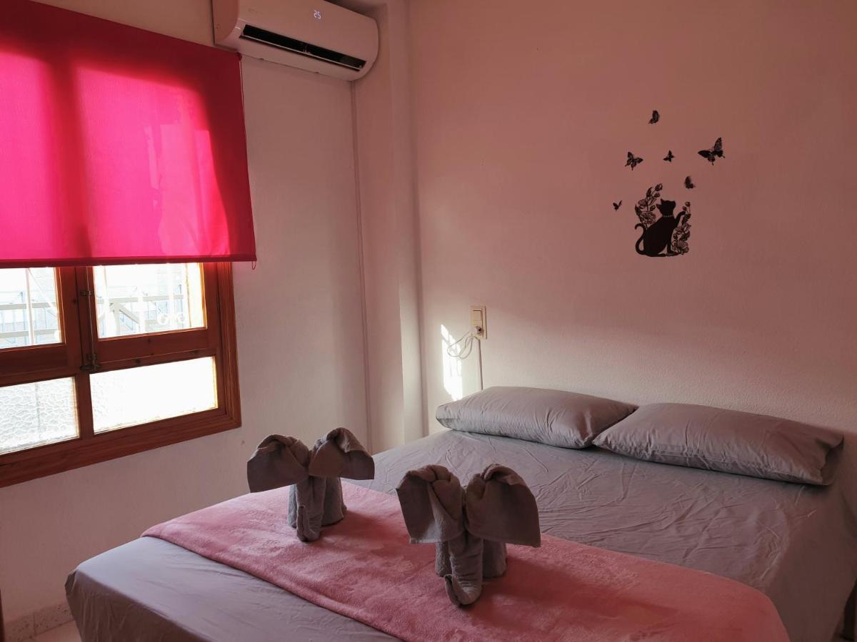 托雷维耶哈Penthouse Residencial Virginia公寓 外观 照片